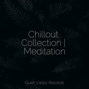 Chillout Collection | Meditation - Relaxamento