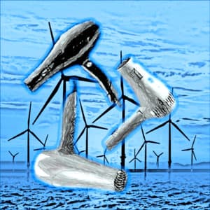 Hair Dryer Background Noise Collection - Hush Little Baby