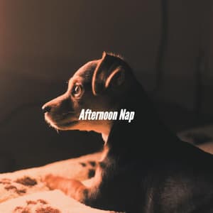 Afternoon Nap - Bossanova Jazz