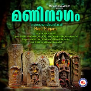 Mani Nagam - Nikhil Raj