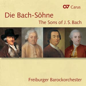 Die Bach-Söhne - Anne Katharina Schreiber