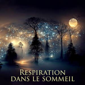 Respiration dans le sommeil - Ensemble de Musique Zen Relaxante