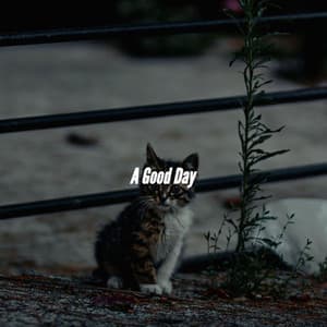 A Good Day - Musica per la Colazione Playlist