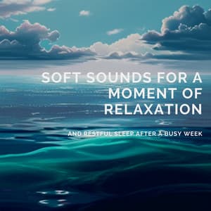 Soft Sounds for a Moment of Relaxation and Restful Sleep After a Busy Week - Quarantine Meditation