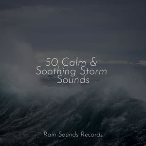 50 Calm & Soothing Storm Sounds - Reiki Music
