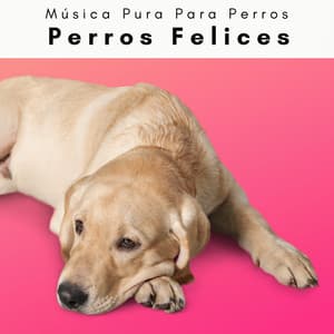 4 Patas: Perros Felices - Música Pura Para Perros
