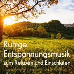 Ruhige Entspannungsmusik zum Relaxen und Einschlafen - Ruhige Musik Baumgartner