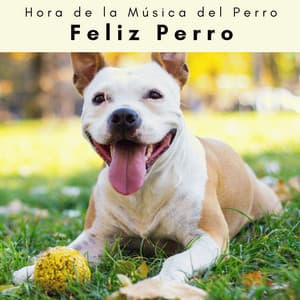 2 0 2 3 Feliz Perro - Hora de la Música del Perro