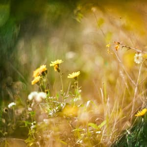 1 Skyline Dream: The Power Of Now - between waves