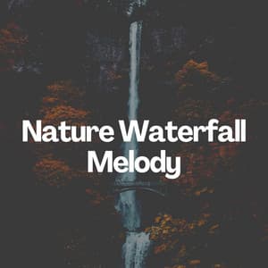 Nature Waterfall Melody - Wildlife Sound Recordings