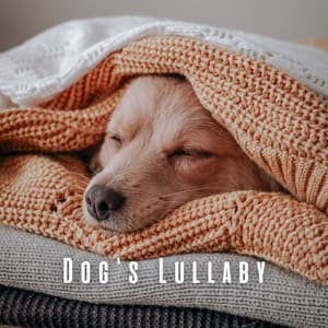 Dog's Lullaby: Lofi and Ambient Sounds for Pups - LoFi HipHop Guru