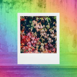 Music for Hanging Loose Nights - Alto Sax - Music for Work