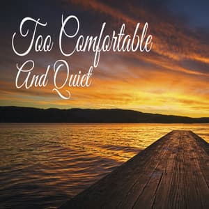 Too Comfortable And Quiet - Sleeping Music