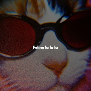 Feline la la la - Easy Relaxing Acoustics