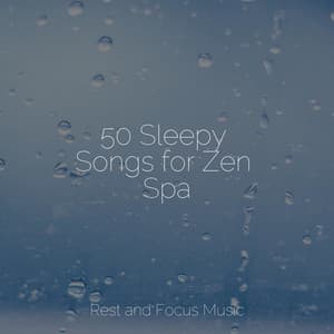 50 Sleepy Songs for Zen Spa - Music to Relax in Free Time