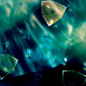 Cinematic Minimalist - Christopher Nickel