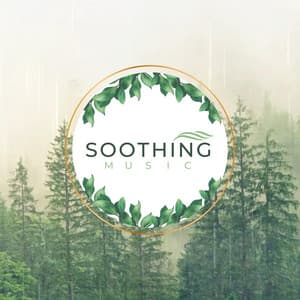 Soothing Music - Soothing Music