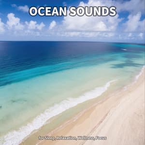 #1 Ocean Sounds for Sleep, Relaxation, Wellness, Focus - Beach Sounds