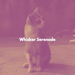 Whisker Serenade - Calming Music for Cats