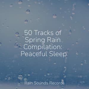 50 Tracks of Spring Rain Compilation: Peaceful Sleep - Lucid Dreaming Music