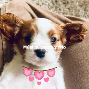 Música, perro y frío - Breakfast Lounge Music