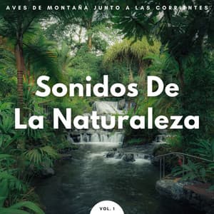Sonidos De La Naturaleza: Aves De Montaña Junto A Las Corrientes Vol. 1 - Riverside subterráneo