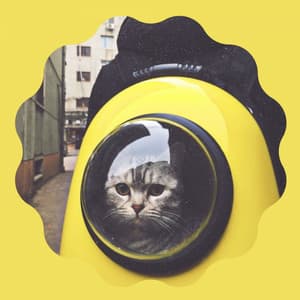 Cool Quartet Jazz - Background for Classic with Cats - Cat Music Waves