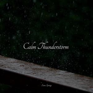 Calm Thunderstorm - Sonidos de la Naturaleza