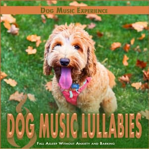 Dog Music Lullabies: Fall Asleep Without Anxiety and Barking - Dog Music Experience