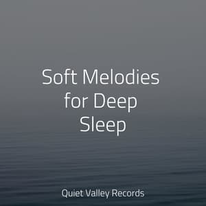 Soft Melodies for Deep Sleep - Relaxation Music Guru