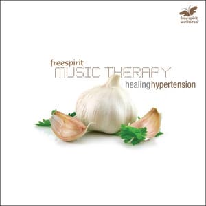 Music Therapy - Healing Hypertension - Rakesh Chaurasia