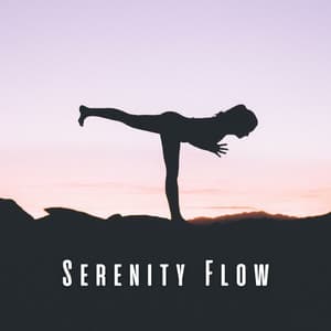 Serenity Flow: Yoga with Melodic Music - Spheres