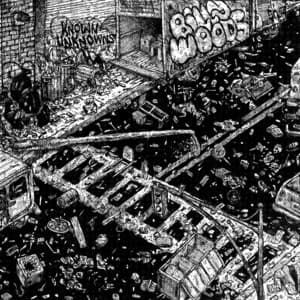 Known Unknowns - billy woods