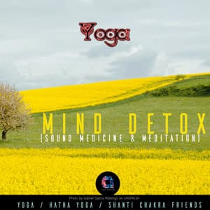 Mind Detox - Hatha Yoga
