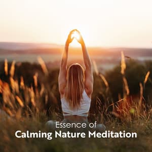 Essence of Calming Nature Meditation - Zen Soothing Sounds of Nature