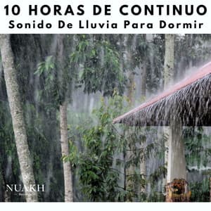 10 Horas De Sonido De Lluvia Para Dormir - White Noise Radiance