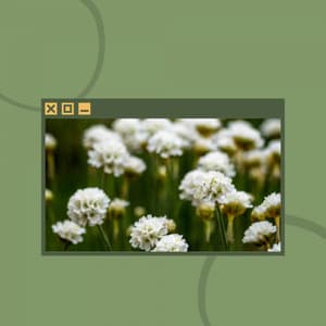 Music for Smooth Downtime - Cafeteria Musica de lujo