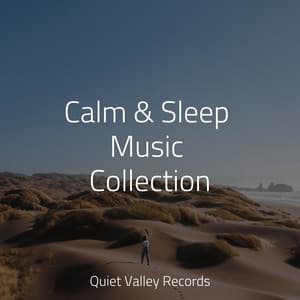 Calm & Sleep Music Collection - Yoga Rain