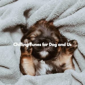 Chilling Tunes for Dog and Us - Rilassante Jazz Musica
