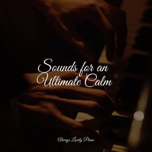 50 Calming Melodies - Baby Lullaby