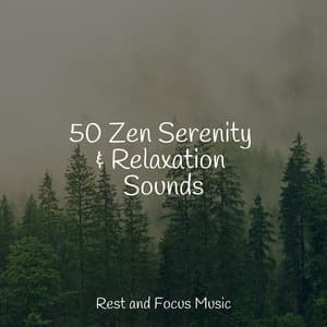 50 Zen Serenity & Relaxation Sounds - Anxiety Relief