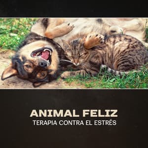 Animal Feliz - Terapia Contra el Estrés - Academia de Música para Reducir el Estrés