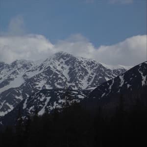 The Winter Jazz Standards - Cozy Coffee Shop