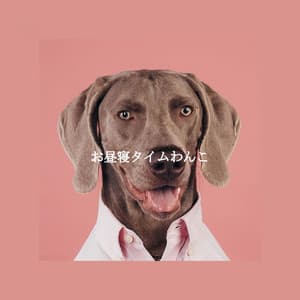 お昼寝タイムわんこ - Morning Coffee Playlist