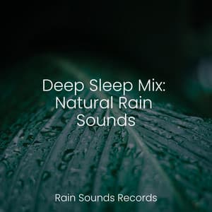 Deep Sleep Mix: Natural Rain Sounds - Music For Absolute Sleep