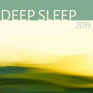 Deep Sleep 2019 - Sleeping & Lucid Dreaming Spring Collection - Lucid Dream Doctor