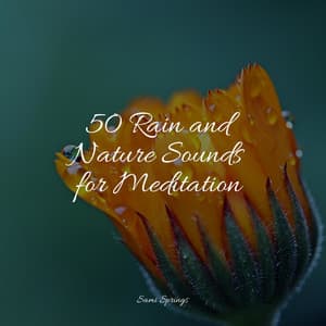 50 Deep Sleep Rain Sounds - Easy Sleep Music