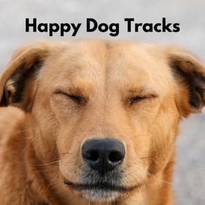 Happy Dog Tracks - Wine Bar Music