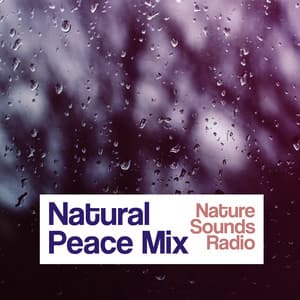 Natural Peace Mix - Nature Sounds Radio