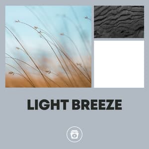 Light Breeze - Jungle Sounds
